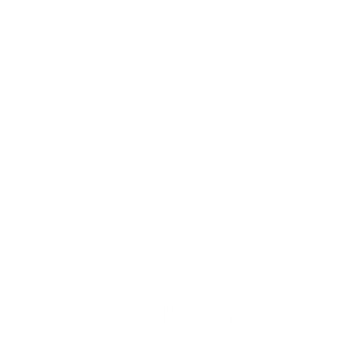 DirtySouthDistrict